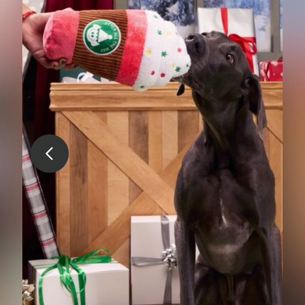 Bark Box XL Puppermint mocha latte dog toy NEW